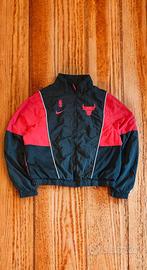 Chicago Bulls '90/'2000 NBA Limited Edition