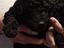 Immagine 5