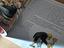 Immagine 2