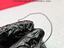 Immagine 14
