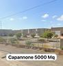 provincia-di-oristano