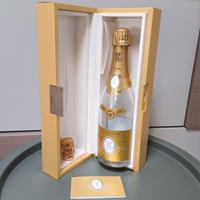 Collezione bottiglia collezione 