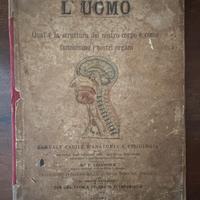 Manuale facile d’anatomia