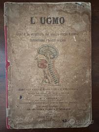 Manuale facile d’anatomia