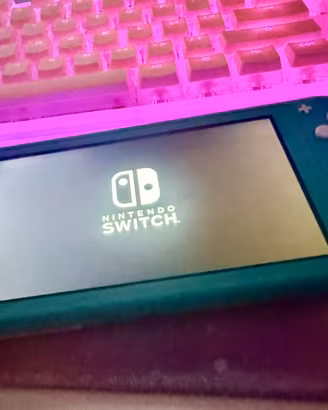 Nintendo switch lite