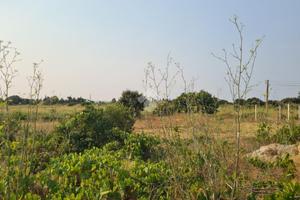 TER. AGRICOLO A GALLIPOLI