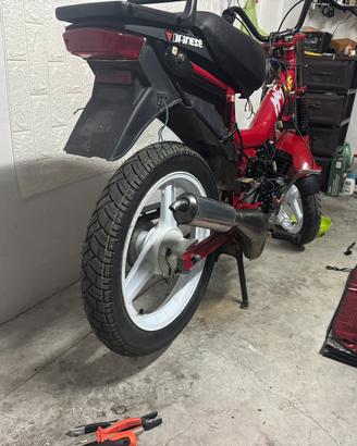 malaguti fifty hf