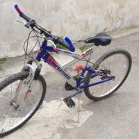 Bicicletta MTB "JumperTrek" (90€)