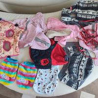 Cane indumenti/Accessori 