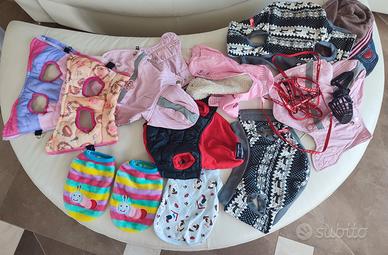 Cane indumenti/Accessori 