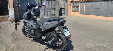 Piaggio Bravo - 2022