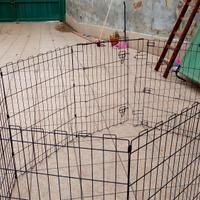 recinto per cani 