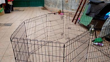 recinto per cani 