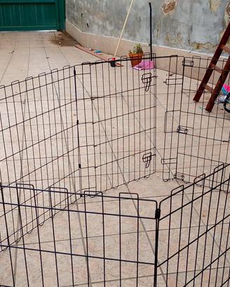 recinto per cani 