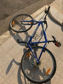 bicicletta specialized