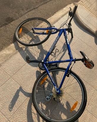 bicicletta specialized