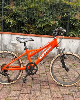 Bicicletta ragazzo 20”