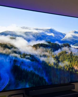 TV OLED LG 65 Pollici 4K Smart tv