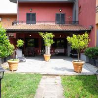 Natuscia Trevignano - Platani