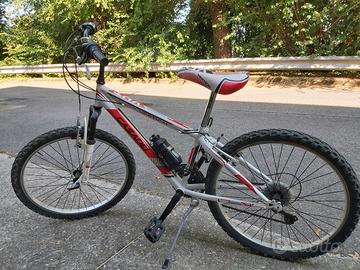 bici ragazzo 24"