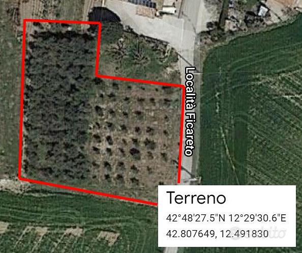terreno edificabile zona Todi 1000 mq. - Vista 4