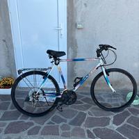 Mountan bike in buono stato