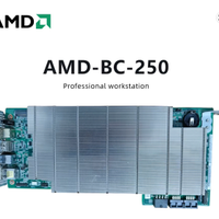 AMD Bc 250