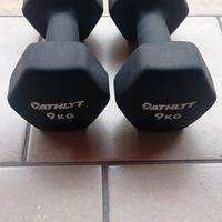 palestra pesi manubri coppia 9kg