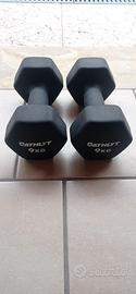 palestra pesi manubri coppia 9kg