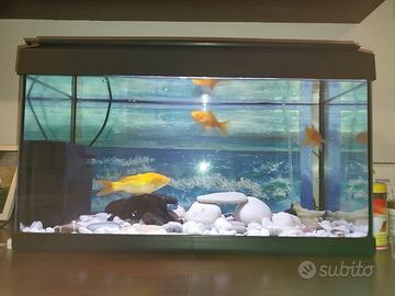 acquario MTB MILO 60 + filtro ASKOLL TRIO