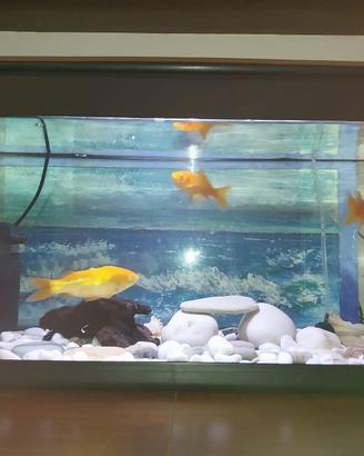 acquario MTB MILO 60 + filtro ASKOLL TRIO