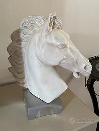 Cavallo