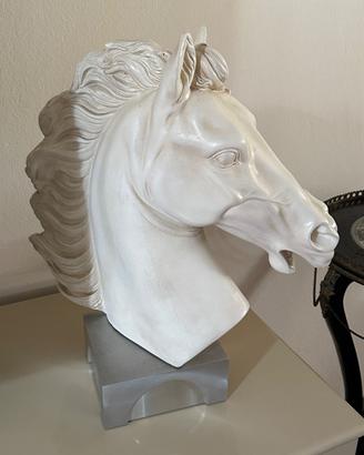 Cavallo