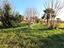 Immagine 19