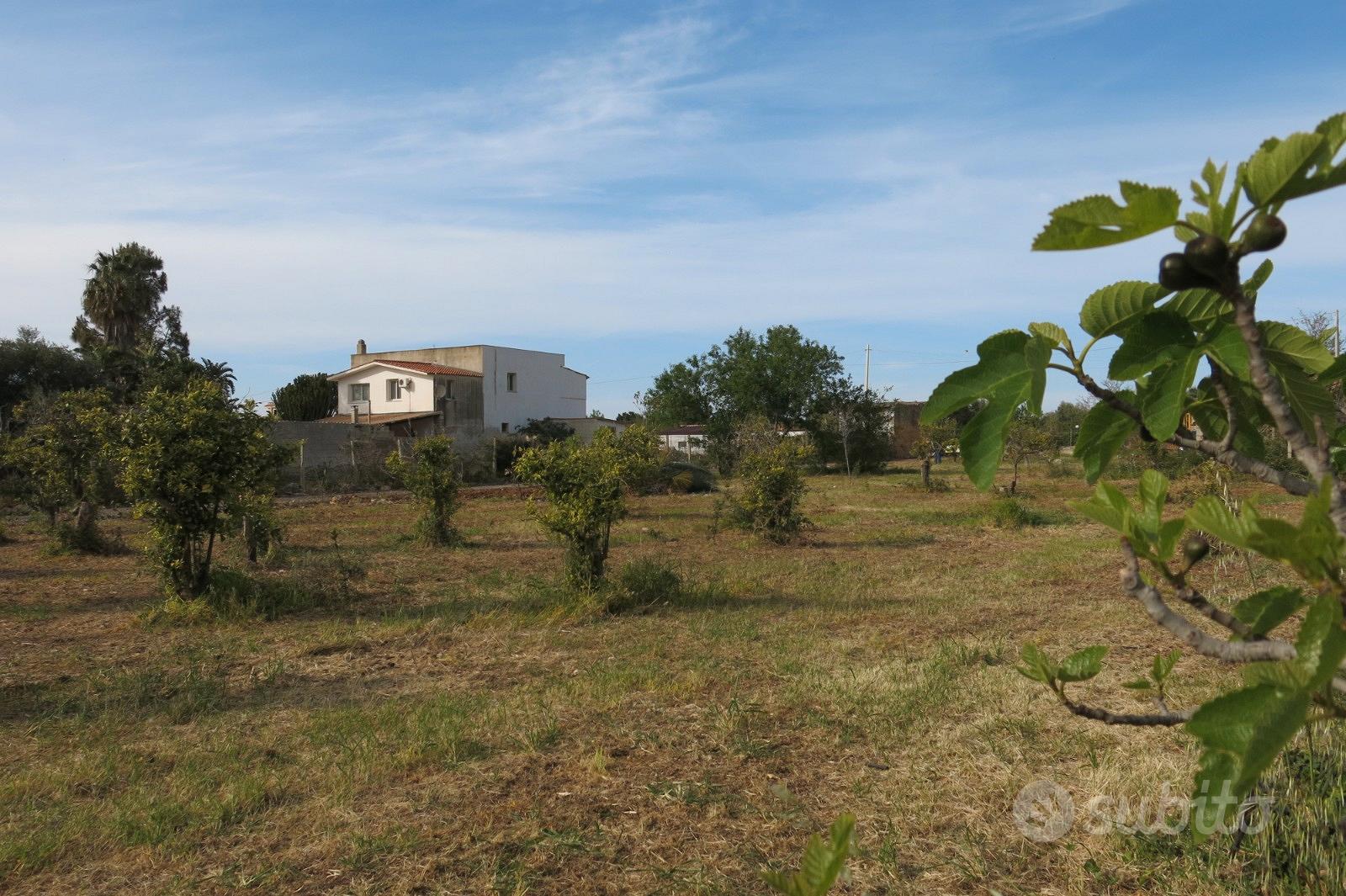 Cinisi (Pa) Terreno Agricolo 2.000mq circa - Altro