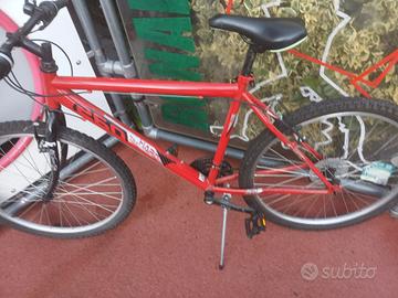 bicicletta ragazzo 