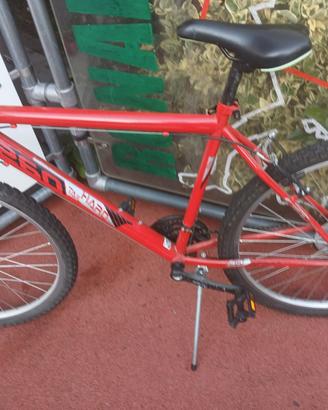 bicicletta ragazzo 