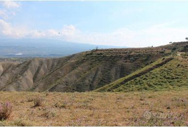 RGE 28/2016 Trib ENNA - LOTTO 1