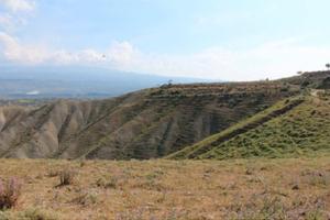 RGE 28/2016 Trib ENNA - LOTTO 1