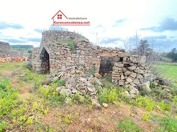 Grande terreno con pajiara