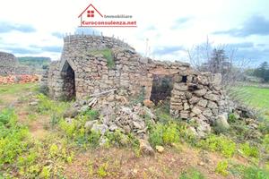 Grande terreno con pajiara