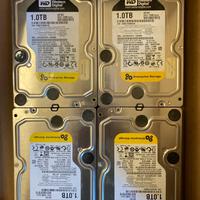 4 Hard disk WD 1 TB