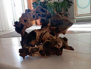 Legni di Mangrovie per acquario