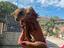 Immagine 5