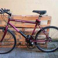 mountain bike uomo 26" Atala