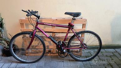 mountain bike uomo 26" Atala