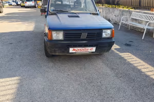 Fiat Panda 1100 i.e. cat College
