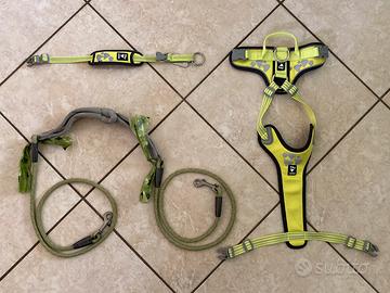 Hurtta set Weekend warrior giallo fluo