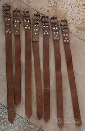 collari in cuoio rinforzati 