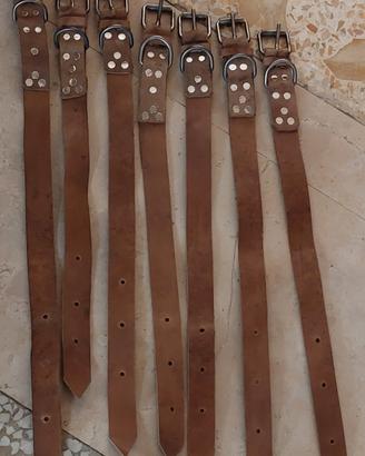 collari in cuoio rinforzati 